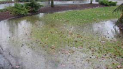 Landscape Drainage System Contractor in Portland, OR